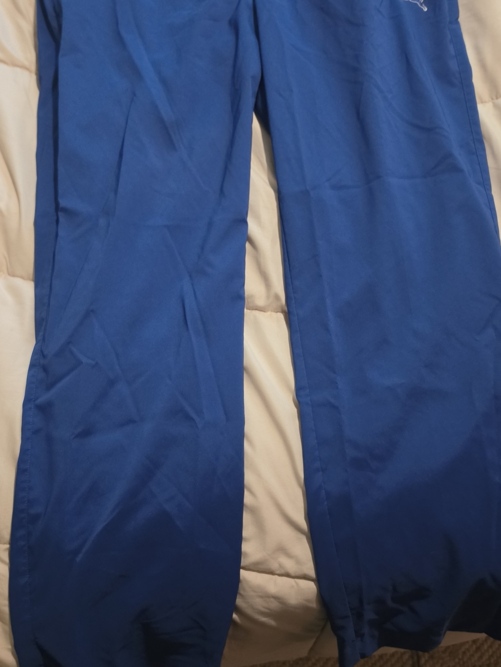 Puma Men's Royal Blue Golf Pants